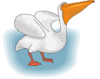 Pelican Taking Off Clip Art